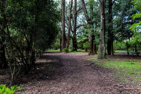 Tomah Retreat - Relax & Heal At UNWIND - Holiday Byron Bay 1