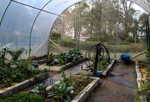 Tomah Retreat - Relax With Studio BREATHE - Holiday Byron Bay 2