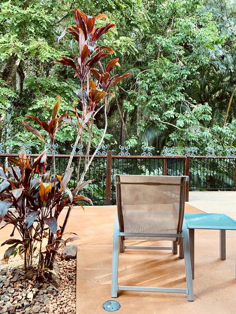 Tranquil Setting In Buderim - Holiday Byron Bay 3