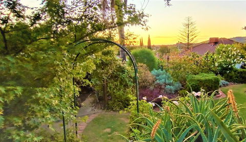 Treetops Escape - Holiday Byron Bay 1