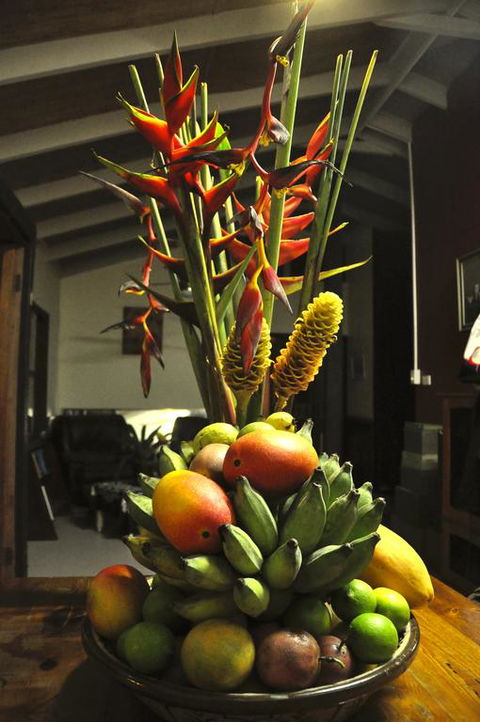 Tropical Bliss Bed And Breakfast - Holiday Byron Bay 3