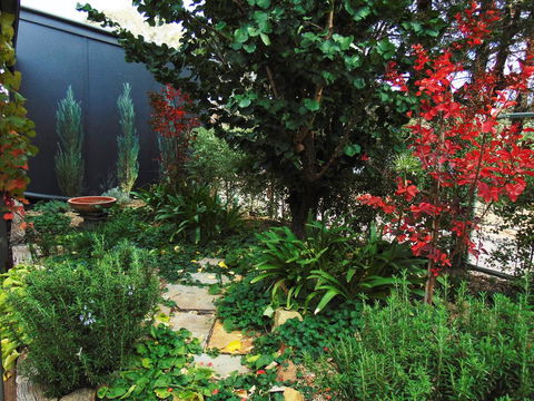 Twin Palms Castlemaine - Holiday Byron Bay 1