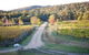 Twisted Gum Vineyard Cottage - thumb 1