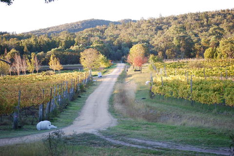 Twisted Gum Vineyard Cottage - Holiday Byron Bay 1