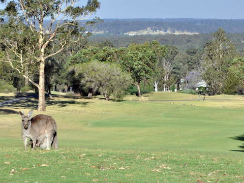 Villas Treinta (Sleeps 30) Resort Condos Located Within Cypress Lakes Resort (nothing Is More Central) - Holiday Byron Bay 0