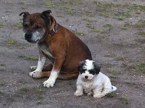 Walcha Royal Cafe & Accommodation - Holiday Byron Bay 3