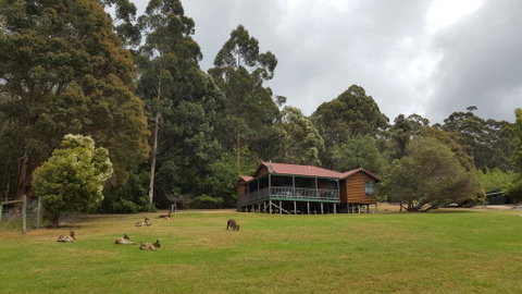 Walpole Wilderness Resort - Holiday Byron Bay 0