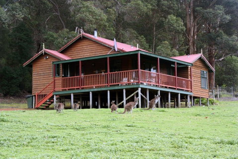 Walpole Wilderness Resort - Holiday Byron Bay 1