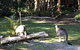 Wanderers Retreat - thumb 3