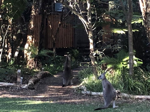 Wanderers Retreat - Holiday Byron Bay 2