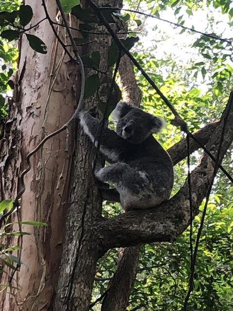 Wanderers Retreat - Holiday Byron Bay 1