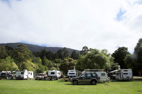 Warburton Holiday Park - Holiday Byron Bay 0