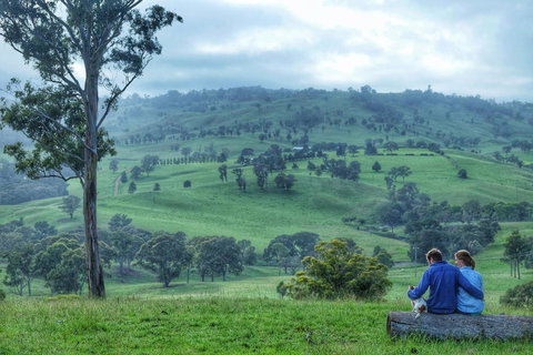 Waterfall Way Farmstay - Holiday Byron Bay 2