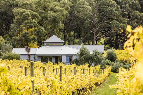 Polperro Villas - Holiday Byron Bay 22