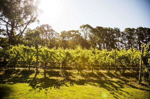 Polperro Villas - Holiday Byron Bay 18