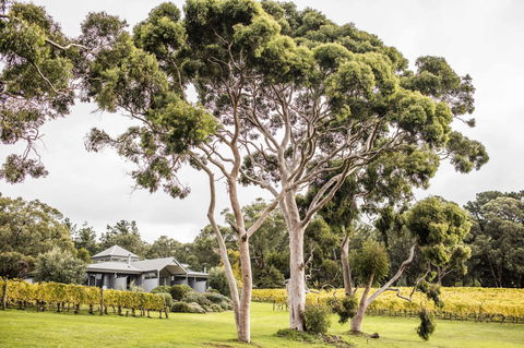 Polperro Villas - Holiday Byron Bay 20