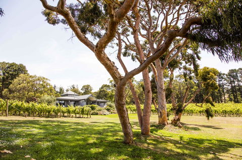 Polperro Villas - Holiday Byron Bay 17