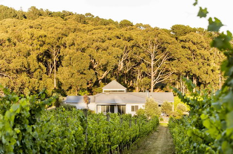 Polperro Villas - Holiday Byron Bay 0