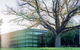 Quest Flemington - thumb 16