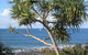Headland Tropicana Resort - thumb 39