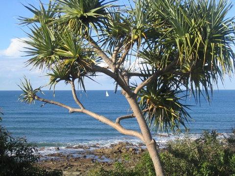 Headland Tropicana Resort - Holiday Byron Bay 39