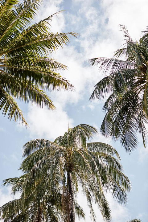Novotel Cairns Oasis Resort - Holiday Byron Bay 9