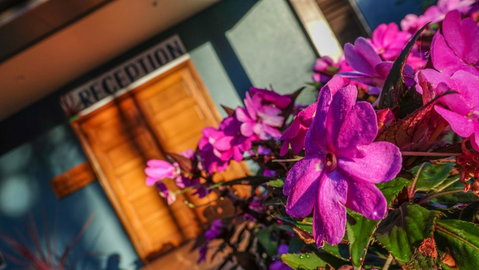 Blue Summit Hideaway - Holiday Byron Bay 33