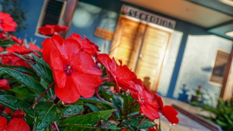 Blue Summit Hideaway - Holiday Byron Bay 1