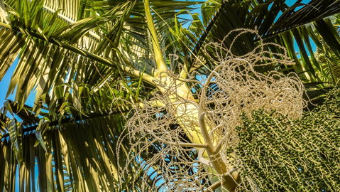 Blue Summit Hideaway - Holiday Byron Bay 20