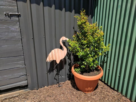 Lilly Pilly House - Holiday Byron Bay 10