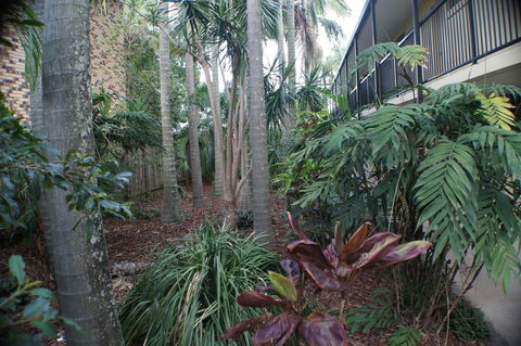Best Western Airport 85 Motel - Holiday Byron Bay 34