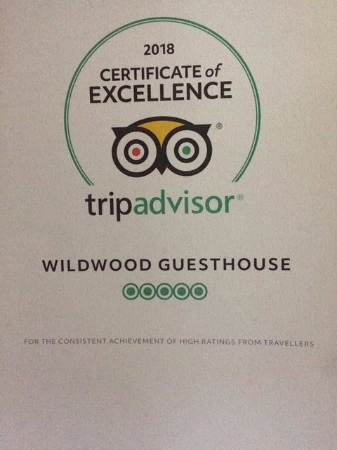 Wildwood Guesthouse - Holiday Byron Bay 3