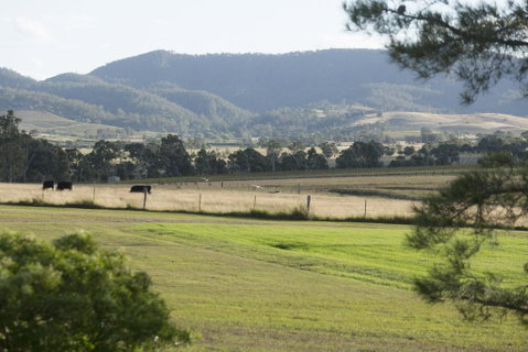 Windarra Lodge - Holiday Byron Bay 3