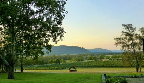 Winmark Wines - Holiday Byron Bay 0