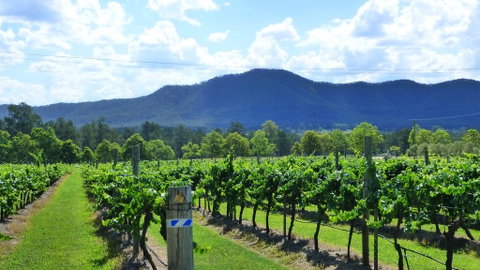 Winmark Wines - Holiday Byron Bay 1