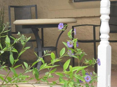 Amalie Cottage Waikerie Unit 1 - Holiday Byron Bay 2