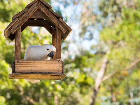 Ashling - Holiday Byron Bay 4