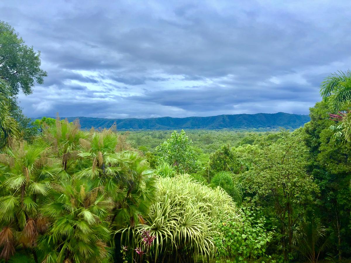 Forest Creek QLD Holiday Byron Bay