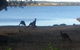 Ratcliff Cottage - thumb 2