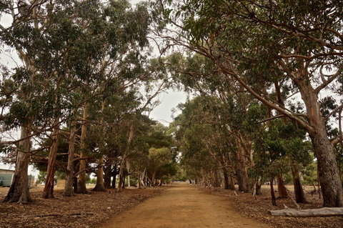 Hanson Bay Cabins - Holiday Byron Bay 21