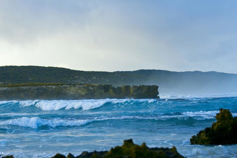 Hanson Bay Cabins - Holiday Byron Bay 18