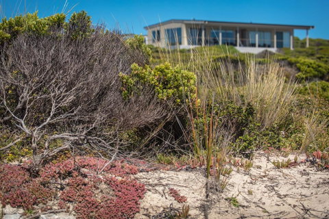 Hanson Bay Cabins - Holiday Byron Bay 3