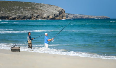 Hanson Bay Cabins - Holiday Byron Bay 17
