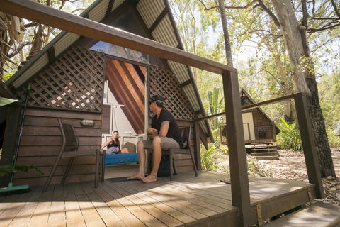 Roamer Magnetic Island Koala Park - Formerly Selina Magnetic Island - Holiday Byron Bay 35
