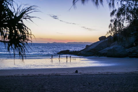 Roamer Magnetic Island Koala Park - Formerly Selina Magnetic Island - Holiday Byron Bay 16