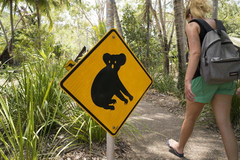 Roamer Magnetic Island Koala Park - Formerly Selina Magnetic Island - Holiday Byron Bay 27