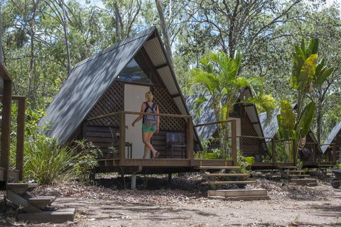 Roamer Magnetic Island Koala Park - Formerly Selina Magnetic Island - Holiday Byron Bay 5