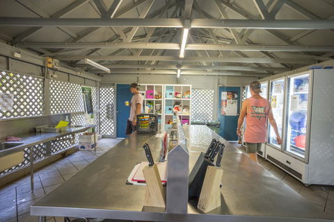Roamer Magnetic Island Koala Park - Formerly Selina Magnetic Island - Holiday Byron Bay 28