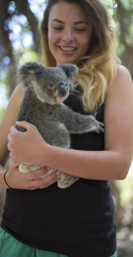 Roamer Magnetic Island Koala Park - Formerly Selina Magnetic Island - Holiday Byron Bay 12