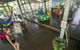 Roamer Magnetic Island Koala Park - Formerly Selina Magnetic Island - thumb 19